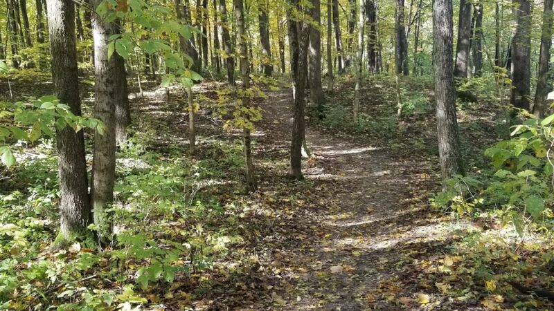 Auburn Township Park - Auburn, IL