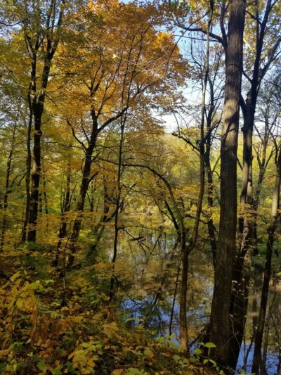 Auburn Township Park - Auburn, IL