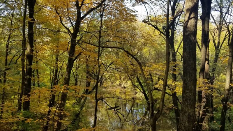Auburn Township Park - Auburn, IL