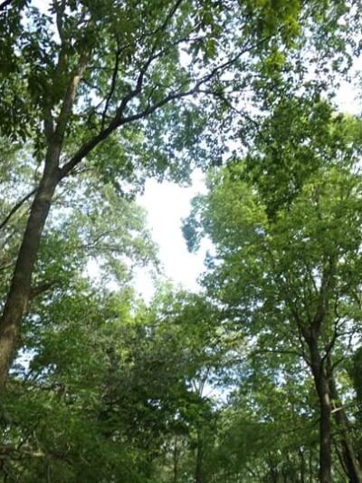 Auburn Township Park - Auburn, IL