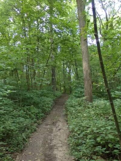Auburn Township Park - Auburn, IL