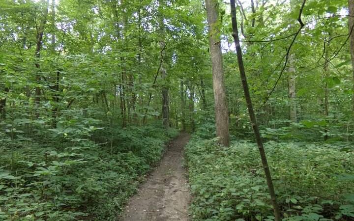 Auburn Township Park - Auburn, IL