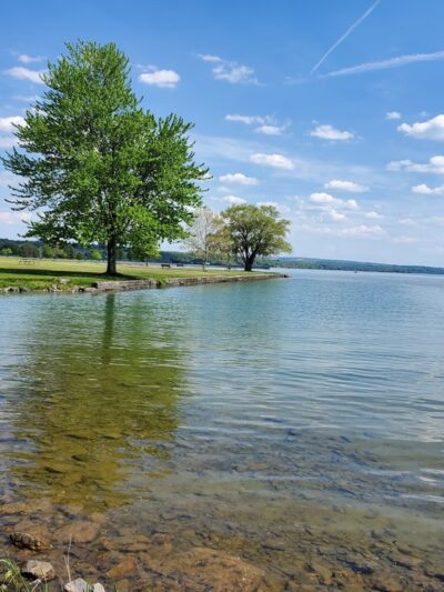 Deauville Island Park - Auburn, NY