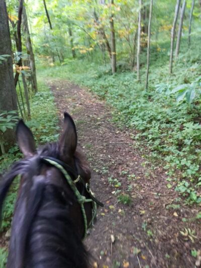 Bracken County Horse Trail - Augusta, KY