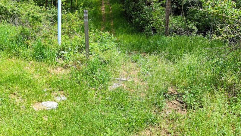 Bracken County Horse Trail - Augusta, KY