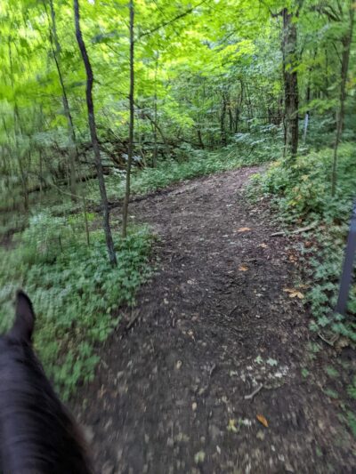 Bracken County Horse Trail - Augusta, KY