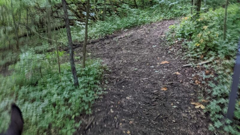 Bracken County Horse Trail - Augusta, KY