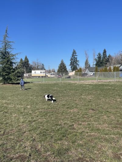 Mill Creek Park - Aumsville, OR
