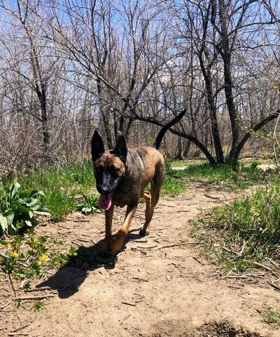 Cherry Creek Dog Park - Aurora, CO