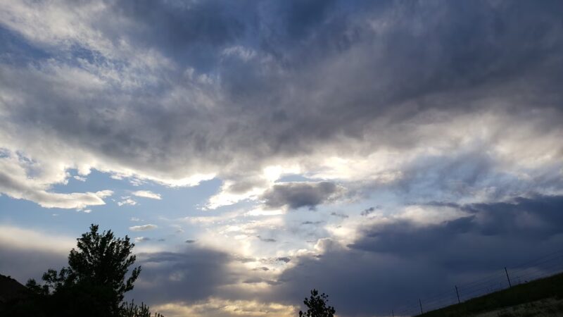 Appaloosa Park - Aurora, CO