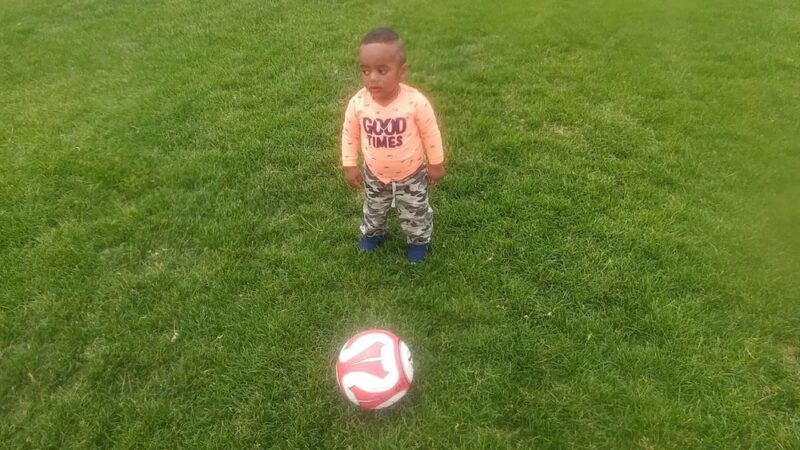 Appaloosa Park - Aurora, CO