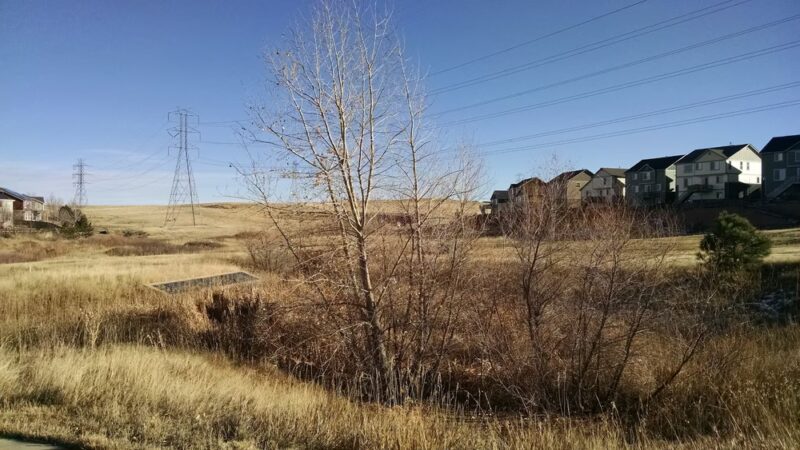 Appaloosa Park - Aurora, CO