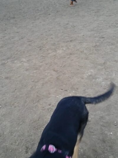 Bicentennial Park - Aurora, CO