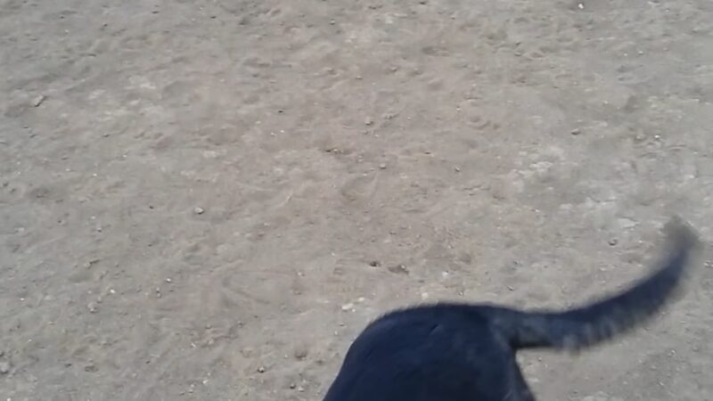 Bicentennial Park - Aurora, CO