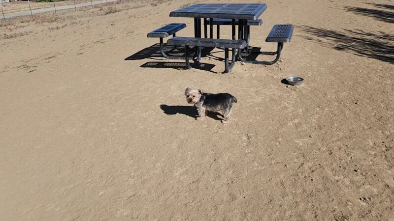 Bicentennial Park Off-Leash Dog Area - Aurora, CO