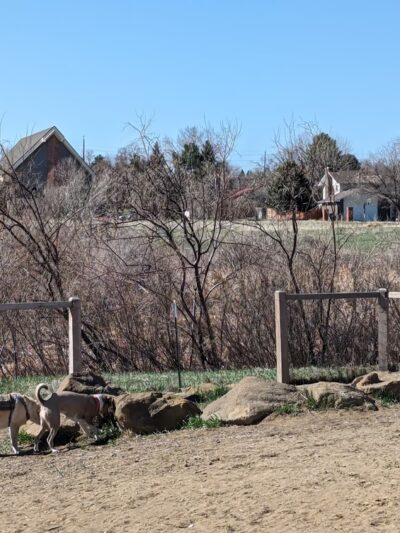 Bicentennial Park Off-Leash Dog Area - Aurora, CO