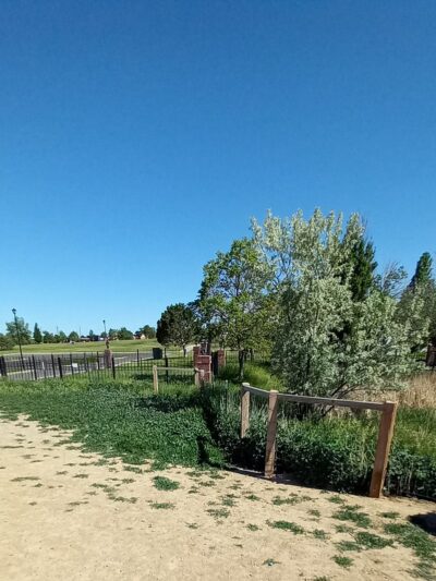 Bicentennial Park Off-Leash Dog Area - Aurora, CO