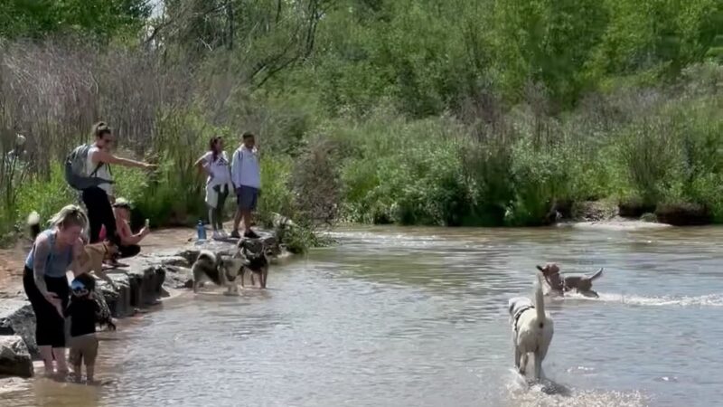Cherry creek dog park (other entrance) - Aurora, CO