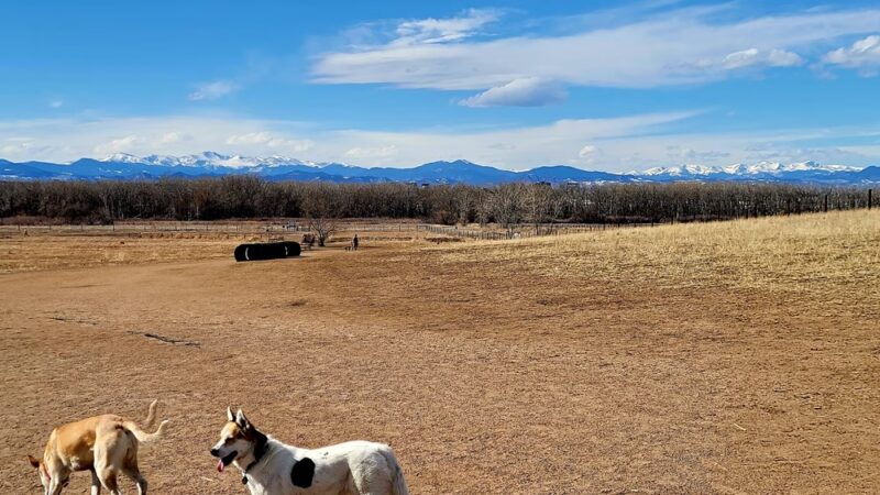 Cherry creek dog park (other entrance) - Aurora, CO