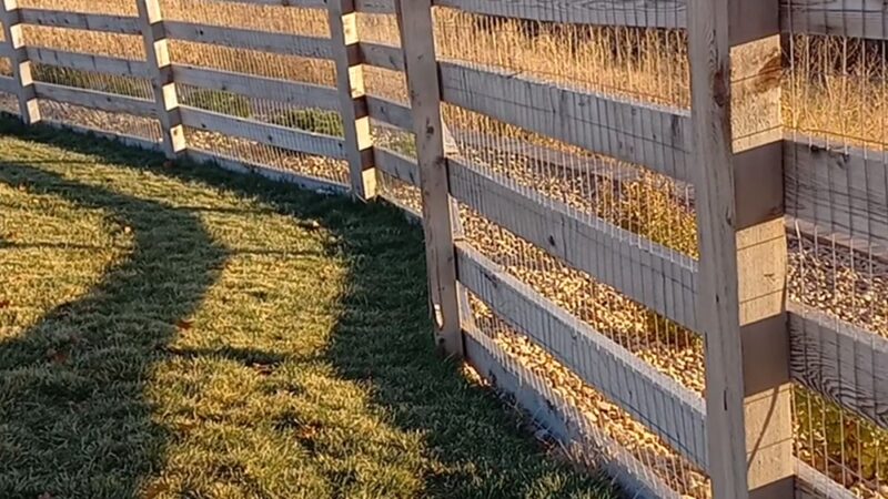 Copperleaf Bark Park - Dog Park - Aurora, CO