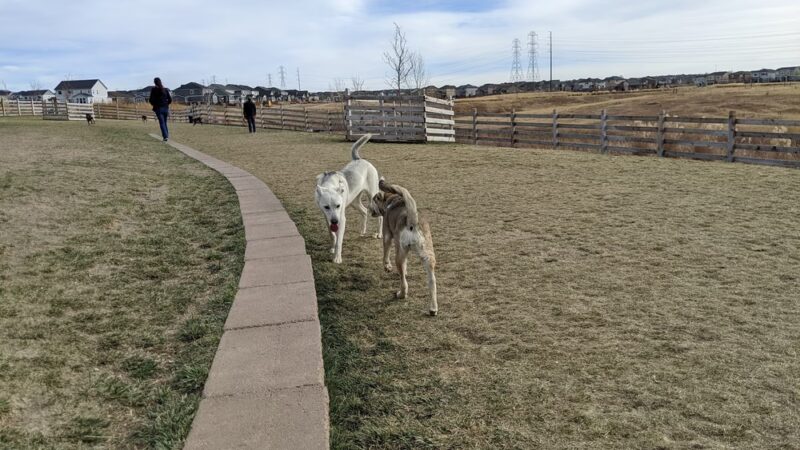 Copperleaf Bark Park - Dog Park - Aurora, CO