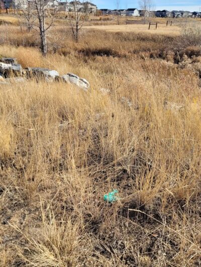 Copperleaf Bark Park - Dog Park - Aurora, CO