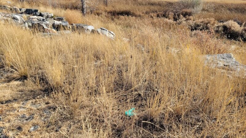 Copperleaf Bark Park - Dog Park - Aurora, CO