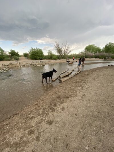 Dog Park Beach and Cherry Creek Access - Aurora, CO