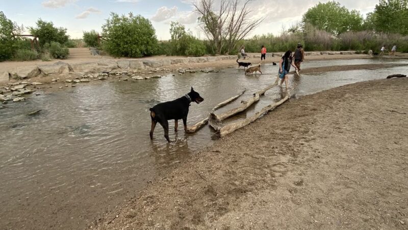 Dog Park Beach and Cherry Creek Access - Aurora, CO