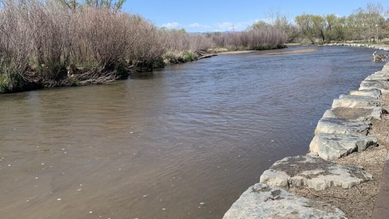 Dog Park Beach and Cherry Creek Access - Aurora, CO