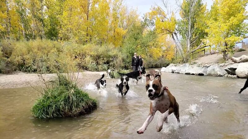 Dog Park Beach and Cherry Creek Access - Aurora, CO