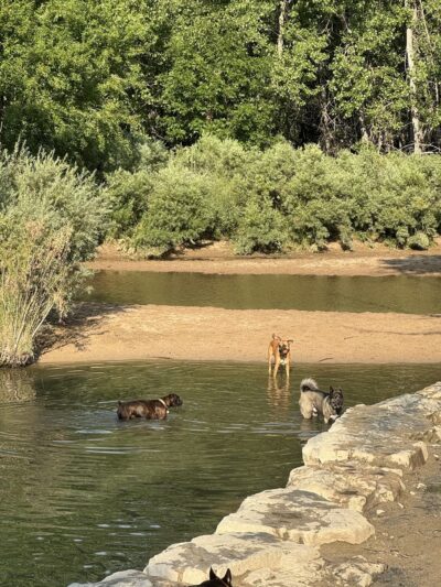 Dog Park Restroom - Aurora, CO