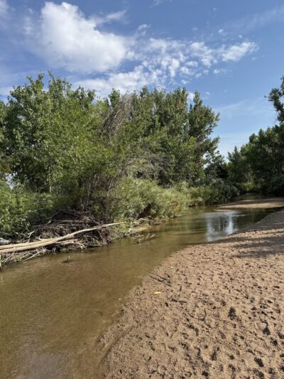 Dog Park Restroom - Aurora, CO