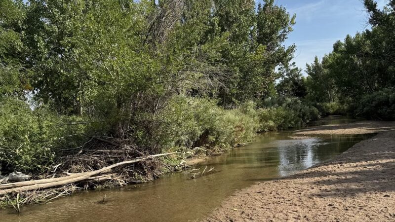 Dog Park Restroom - Aurora, CO