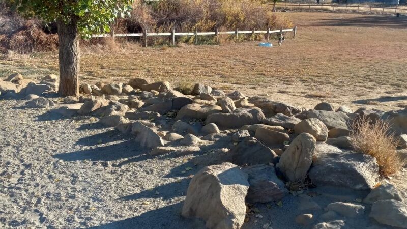 Grandview Dog Park - Aurora, CO