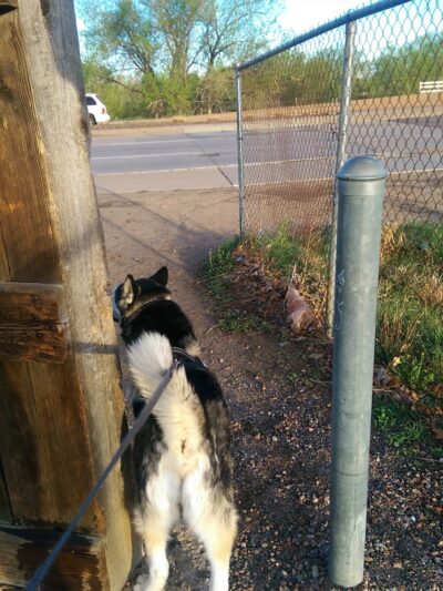 High Line Canal Trail - Aurora, CO