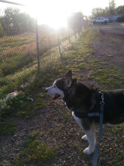 High Line Canal Trail - Aurora, CO