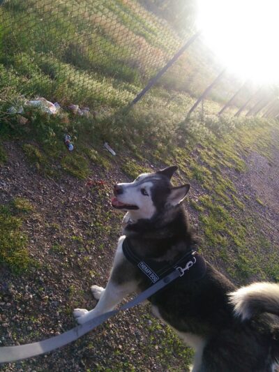High Line Canal Trail - Aurora, CO