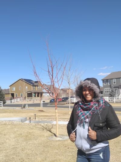 Homestead Park - Aurora, CO