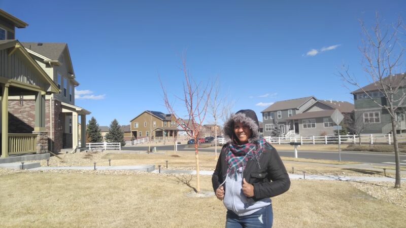 Homestead Park - Aurora, CO