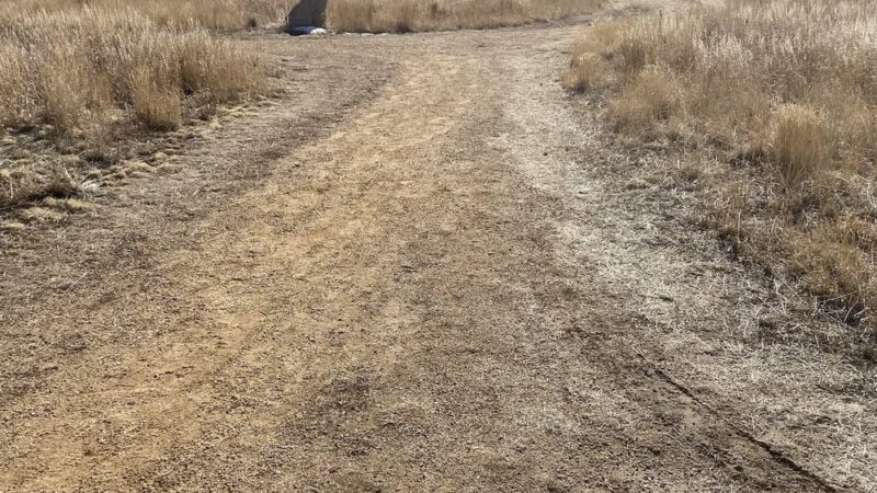 Larkspur Park - Aurora, CO