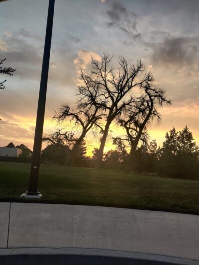 Norfolk Glen Park - Aurora, CO