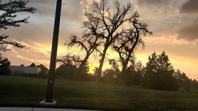 Norfolk Glen Park - Aurora, CO