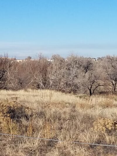 Norfolk Glen Park - Aurora, CO