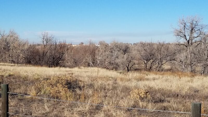 Norfolk Glen Park - Aurora, CO