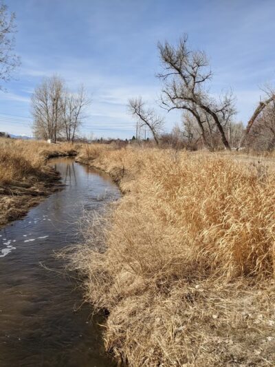 Piney Creek Hollow Park - Aurora, CO