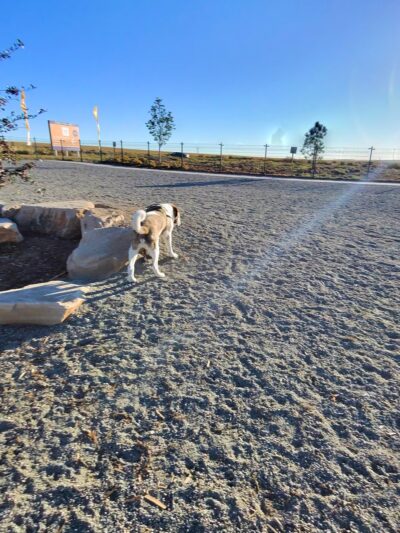 Prairie Paws Park - Aurora, CO