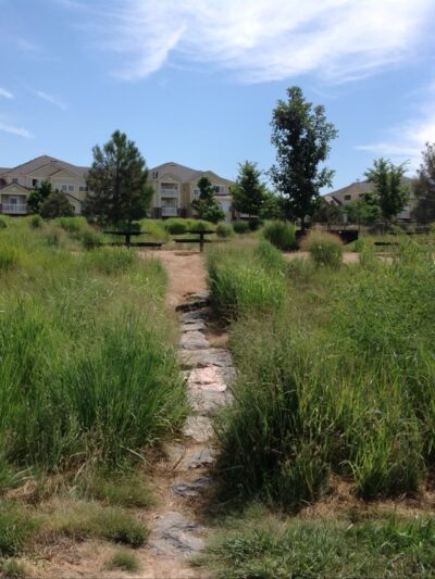 Singletree Park - Aurora, CO
