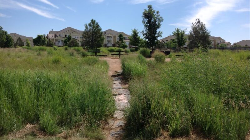 Singletree Park - Aurora, CO
