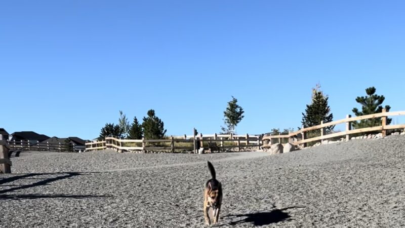 Southshore Dog Park - Aurora, CO